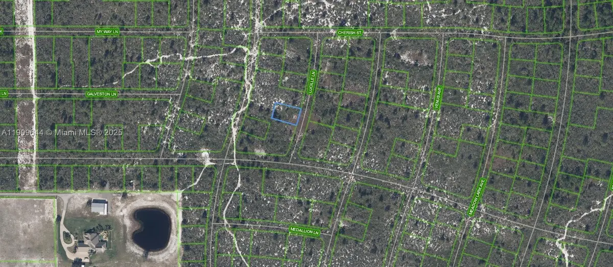 431 Lucille Lane, Lake Placid, FL 33852 - Image #1