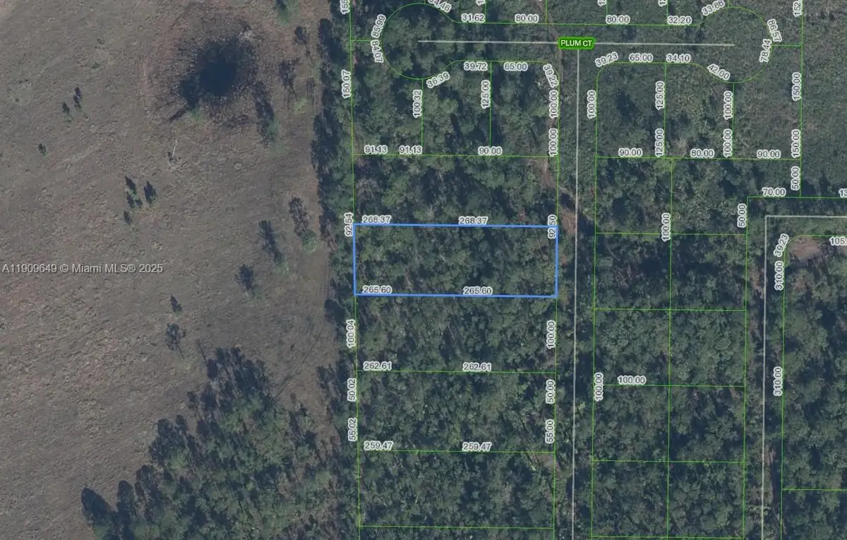4705 Rhubarb Street, Sebring, FL 33875 - #1