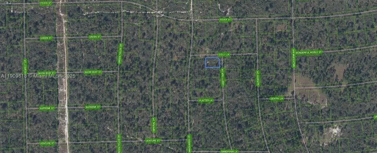 305 Dolly Lane, Lake Placid, FL 33852 - Image #1