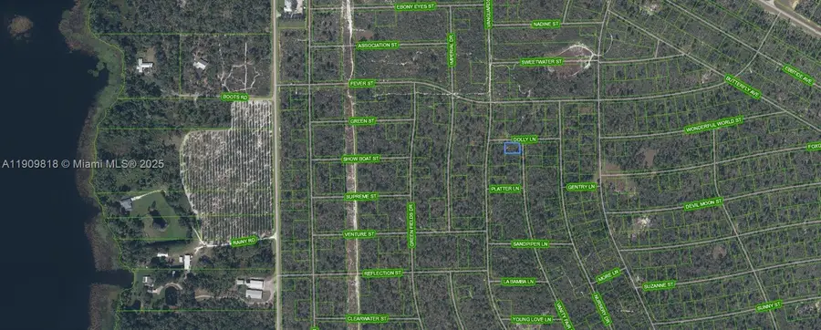 305 Dolly Lane, Lake Placid, FL 33852 - Image #2