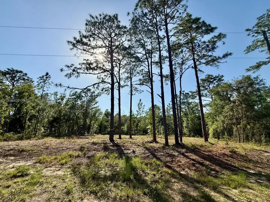 0 NW 157th Ave, Williston, FL 32696 - Image #2