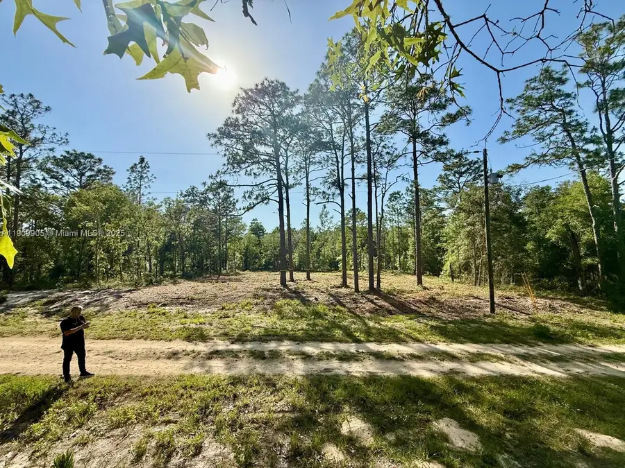 0 NW 157th Ave, Williston, FL 32696 - Image #3