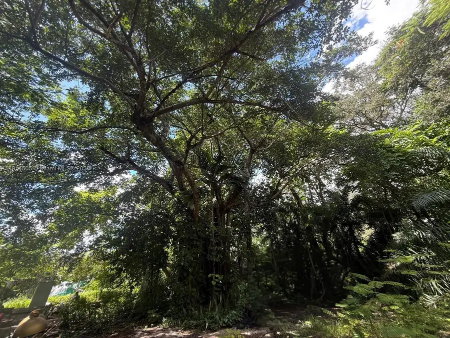 825 NE 149 St, North Miami, FL 33161 - Image #3