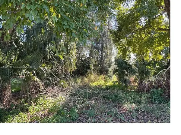 1146 Della Tobias Ave, Other, FL 33440