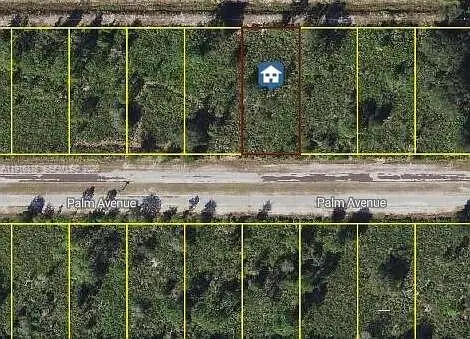 0 Palm, Other, FL 33855