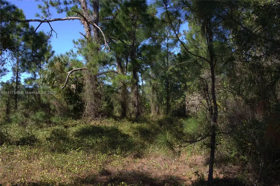 1917 Moore, Lehigh Acres, FL 33972 - #2