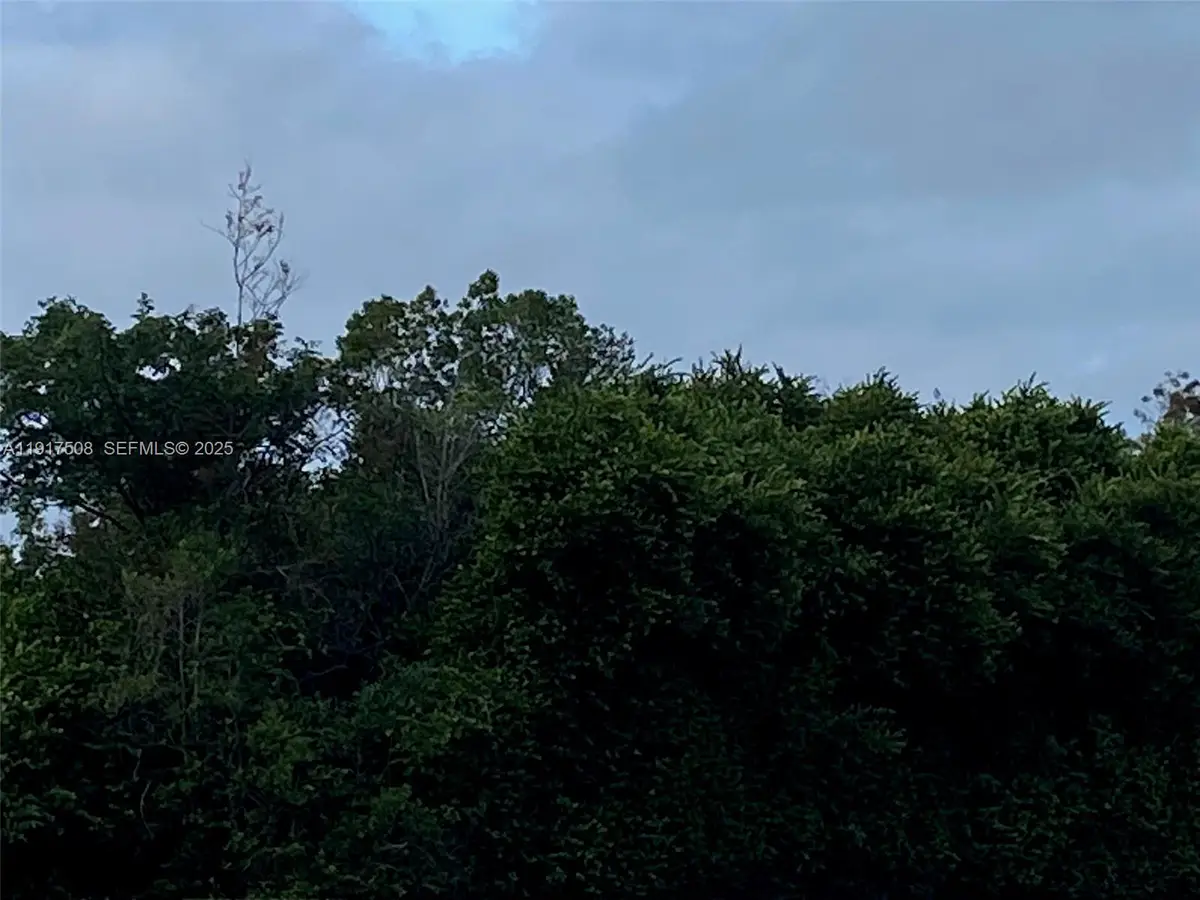 749 Puccini Avenue S, Lehigh Acres, FL 33974 - Image #1