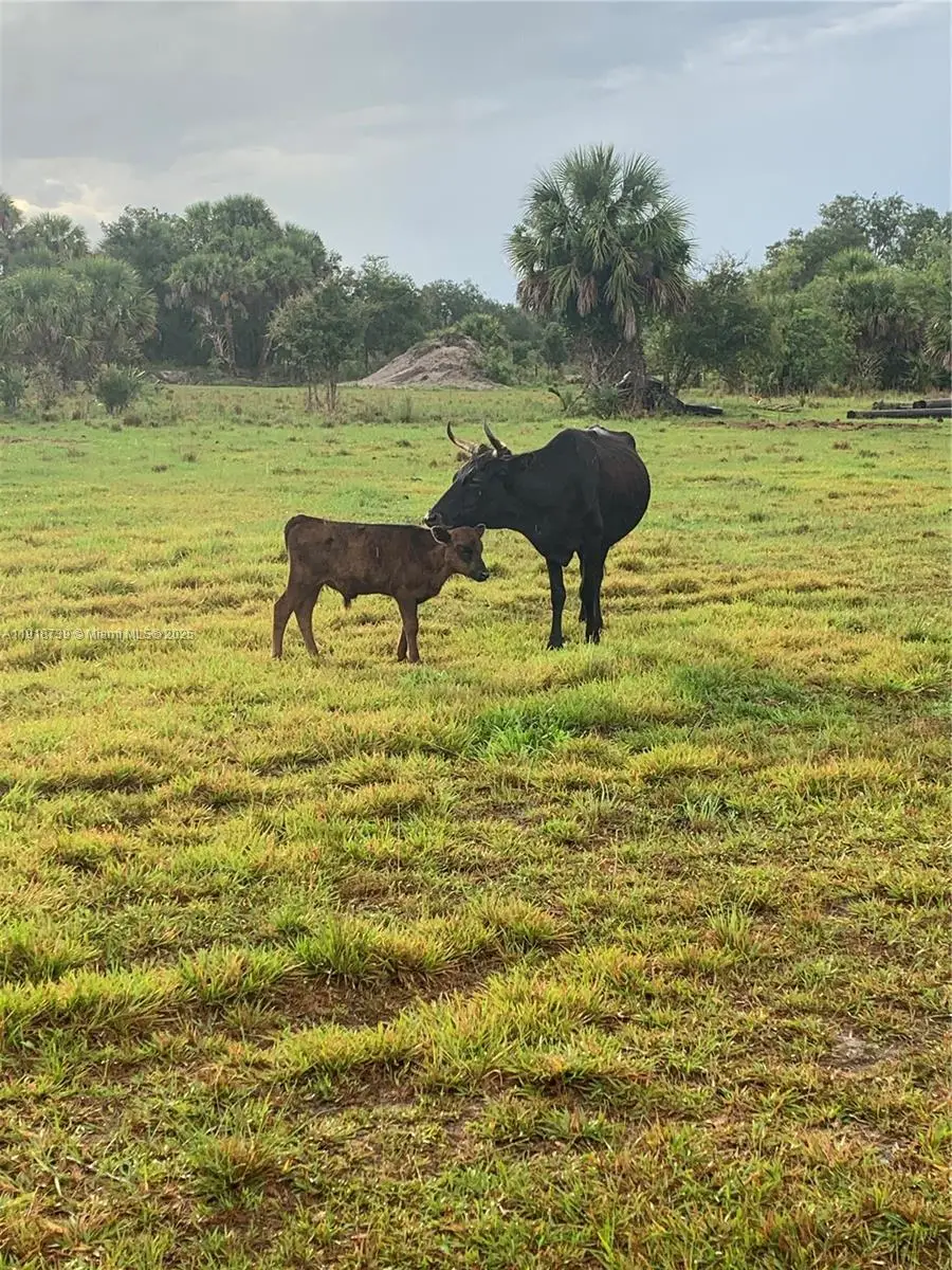 1425 SW Cabbage Ln, Northeast Glades, FL 34974 - Image #1