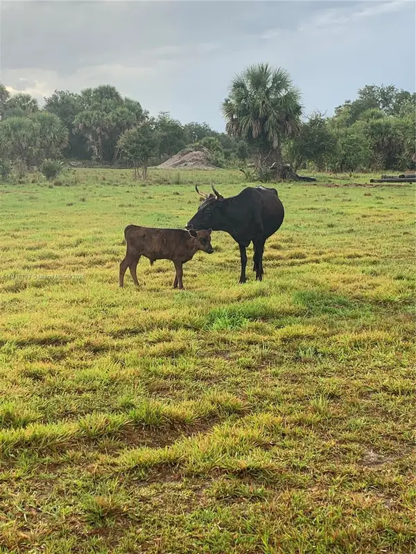 1425 SW Cabbage Ln, Other, FL 34974