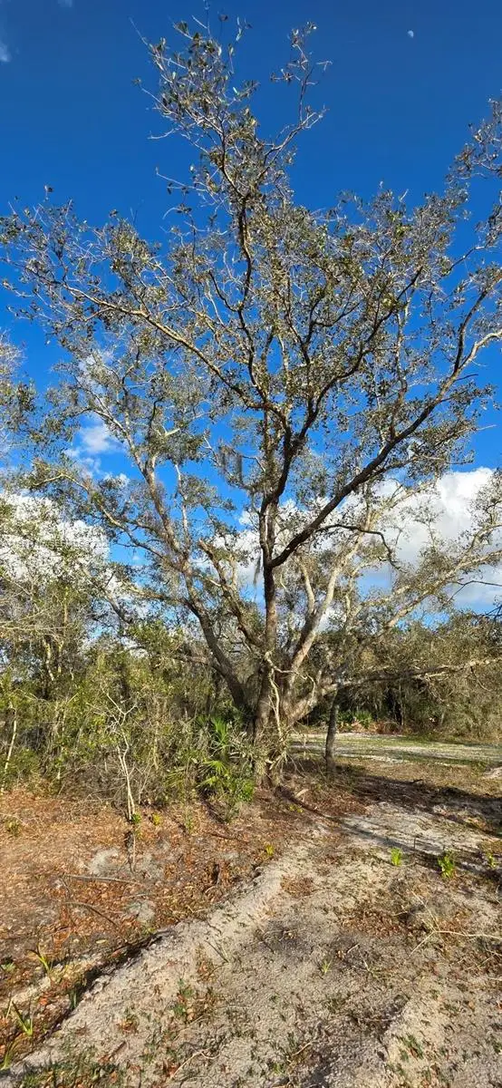 18678 NW 284 St, Okeechobee, FL 34972 - #2