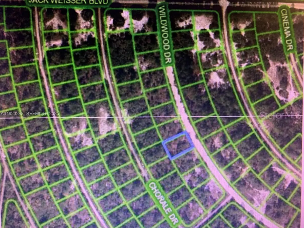 358 Wildwood Dr, Lake Placid, FL 33852 - Image #1