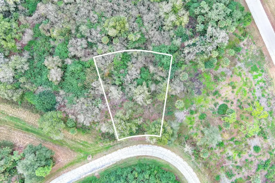 173 Carousel Ave, Labelle, FL 33935 - Image #2