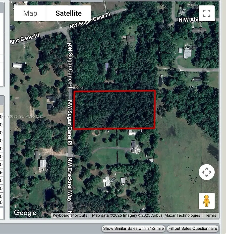 Suwannee Hills, Other, FL 32055 - Image #3