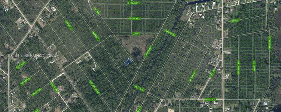 546 Palm Street, Lake Placid, FL 33852 - Image #2