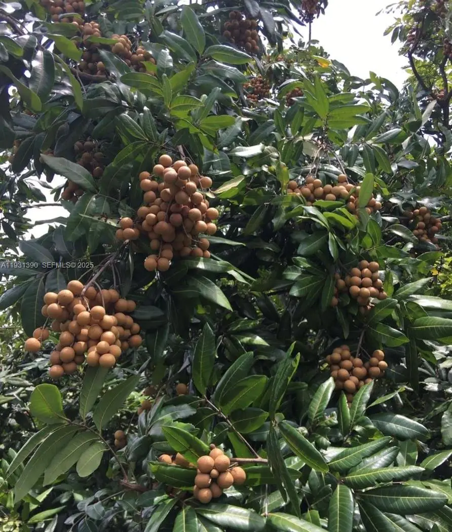 340XX SW 217 Ave, Homestead, FL 33034 - Image #2