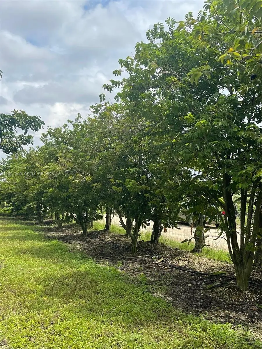 340XX SW 217 Ave, Homestead, FL 33034 - Image #3