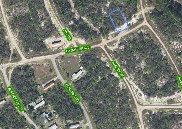 496 Haymaker Ave, Lake Placid, FL 33852 - Image #2