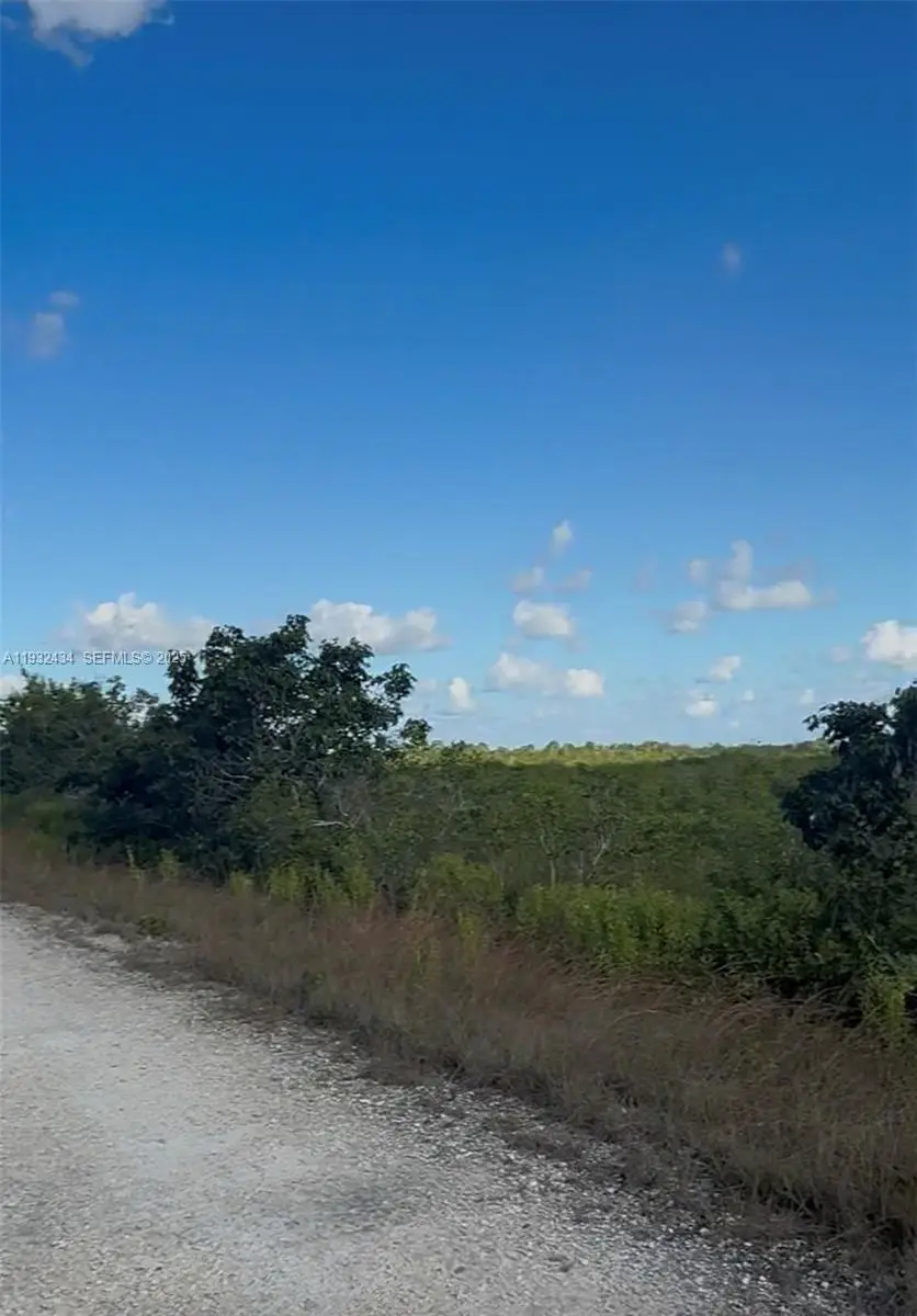 UNINCORPORATED, Unincorporated,, Homestead, FL 33035 - Image #2