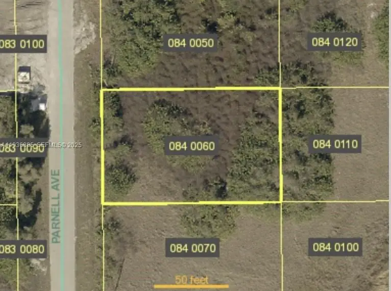 423 Parnell Ave, Lehigh Acres, FL 33974 - Image #3