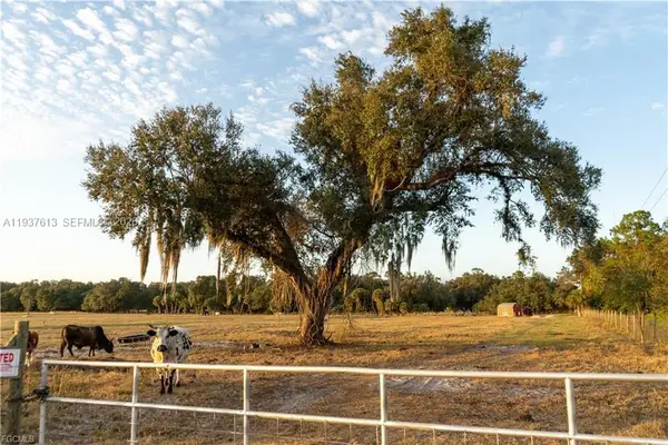 894 Cemetery Rd, La Belle, FL 33935