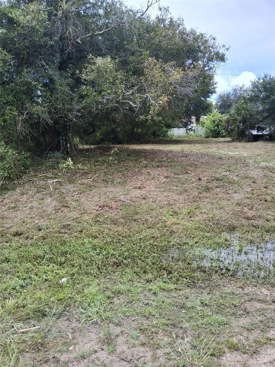14070 Carlos Street, Fort Myers, FL 33905 - #1