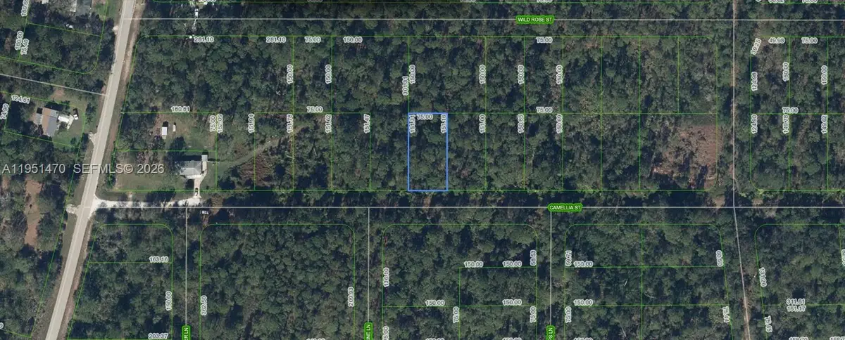 1412 Camellia Street, Lake Placid, FL 33852 - Image #1