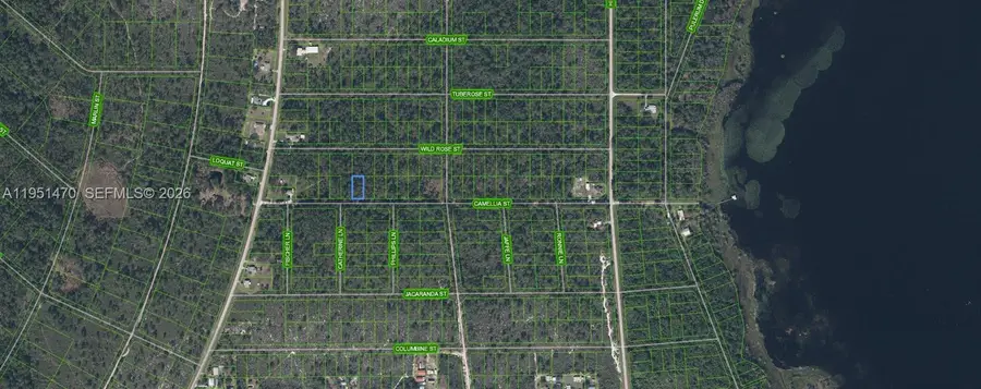 1412 Camellia Street, Lake Placid, FL 33852 - Image #2