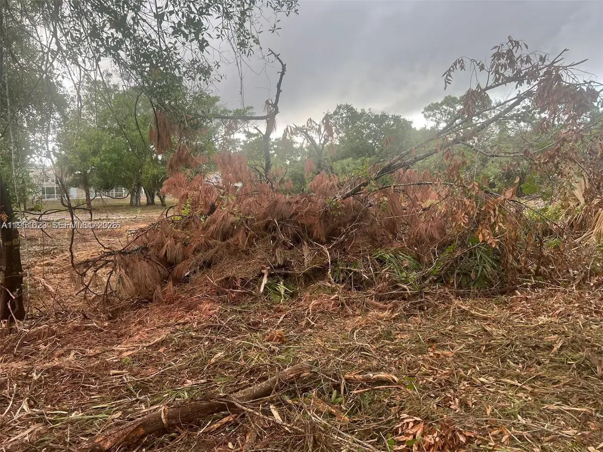 17 Rosevelt Ave, Lehigh Acres, FL 33936 - Image #1