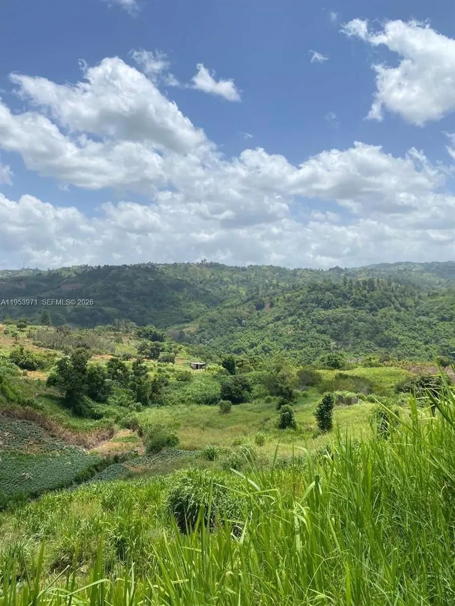 1 Colleyville, Manchester, Jamaica, Manchester, FL  - Image #1