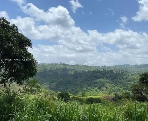 1 Colleyville, Manchester, Jamaica, Manchester, FL  - Image #2