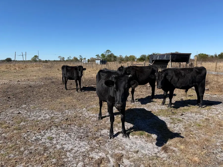 286 Lott Grade, Venus, FL 33960 - Image #2