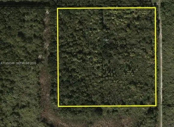 384, Homestead, FL 33034 - #1