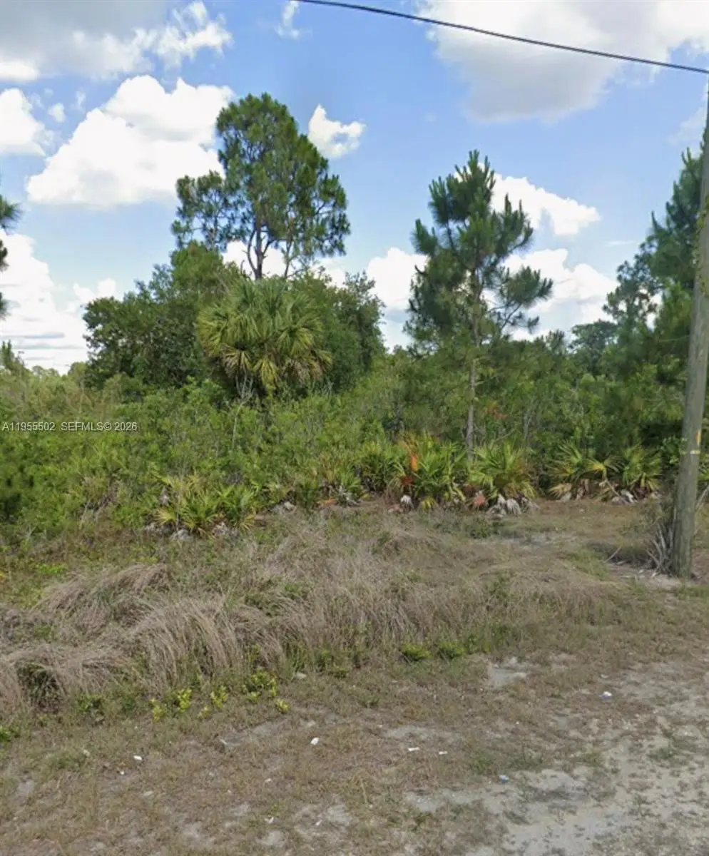 169 Thornton Ave S, Lehigh Acres, FL 33974 - Image #1