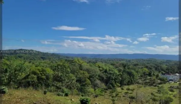 00 Ethel Town, Westmoreland, Jamaica, Westmoreland, FL 