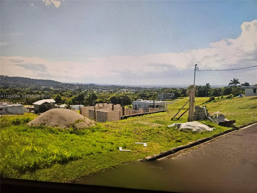 Urb Mirador De Palmer . Solar 41 Rio Grande, Rio Grande, PR 00745 - Image #2