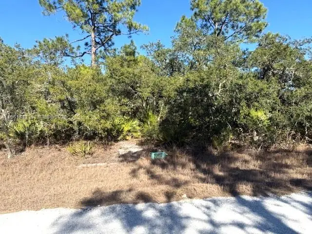 3221 N Dahlia, Lake Placid, FL 33852 - #1