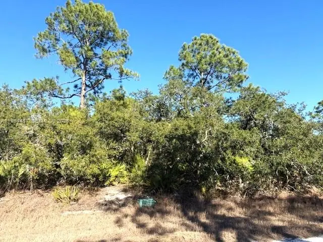 3221 N Dahlia, Lake Placid, FL 33852 - #2