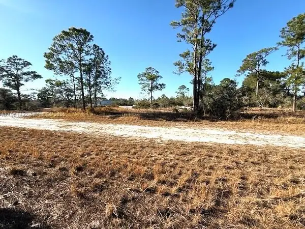 547 Branchwood Ave, Other, FL 33852