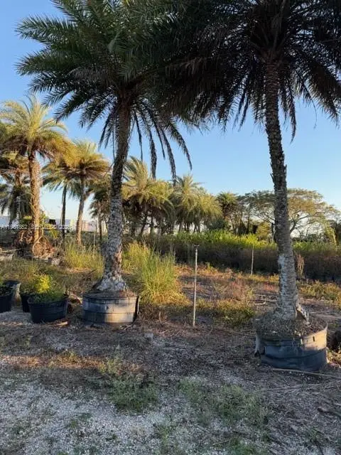 17450 SW 208th St, Miami, FL 33187 - #2