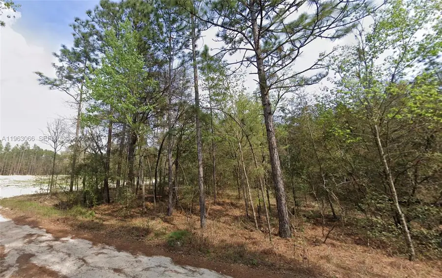 000 Dunnellon, Other, FL 34432 - #3