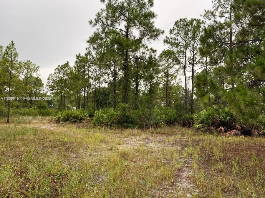 2321 Macarthur Ave, Lehigh Acres, FL 33920 - #3