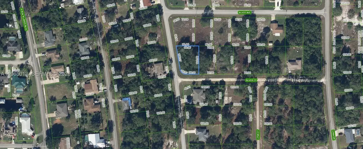 216 Silver Court, Lake Placid, FL 33852 - #1