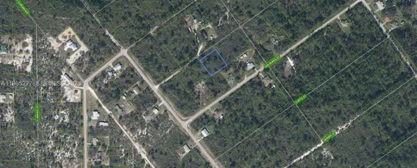 1209 Bradley Avenue, Lake Placid, FL 33852