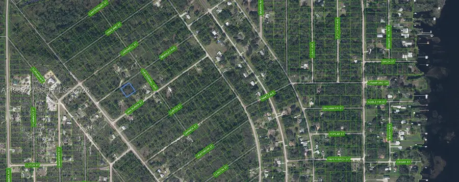 1209 Bradley Avenue, Lake Placid, FL 33852 - #2