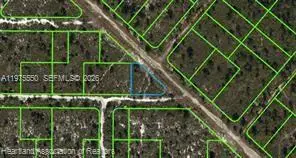 532 Nichele Boulevard, Lake Placid, FL 33852 - #3