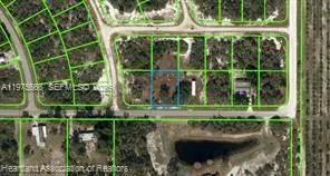 212 Impatiens Street, Lake Placid, FL 33852 - #3