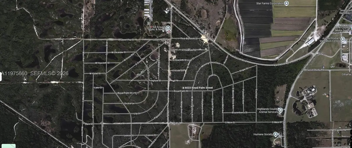 6033 Royal Palm Street, Sebring, FL 33870 - #1