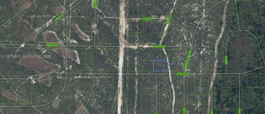 6033 Royal Palm Street, Sebring, FL 33870 - #3