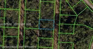 718 Neale Street, Lake Placid, FL 33852 - #1