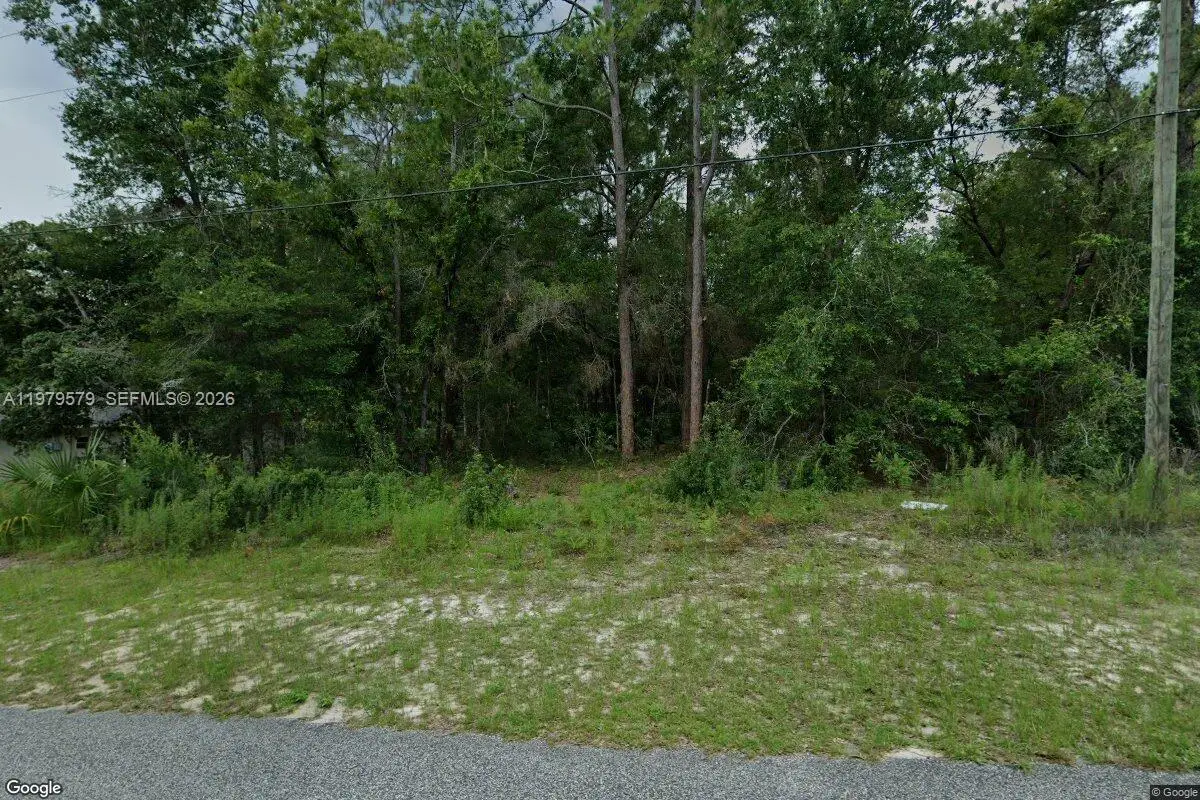 10684 N Burbank Ave, Citrus Springs, FL 34434 - #1